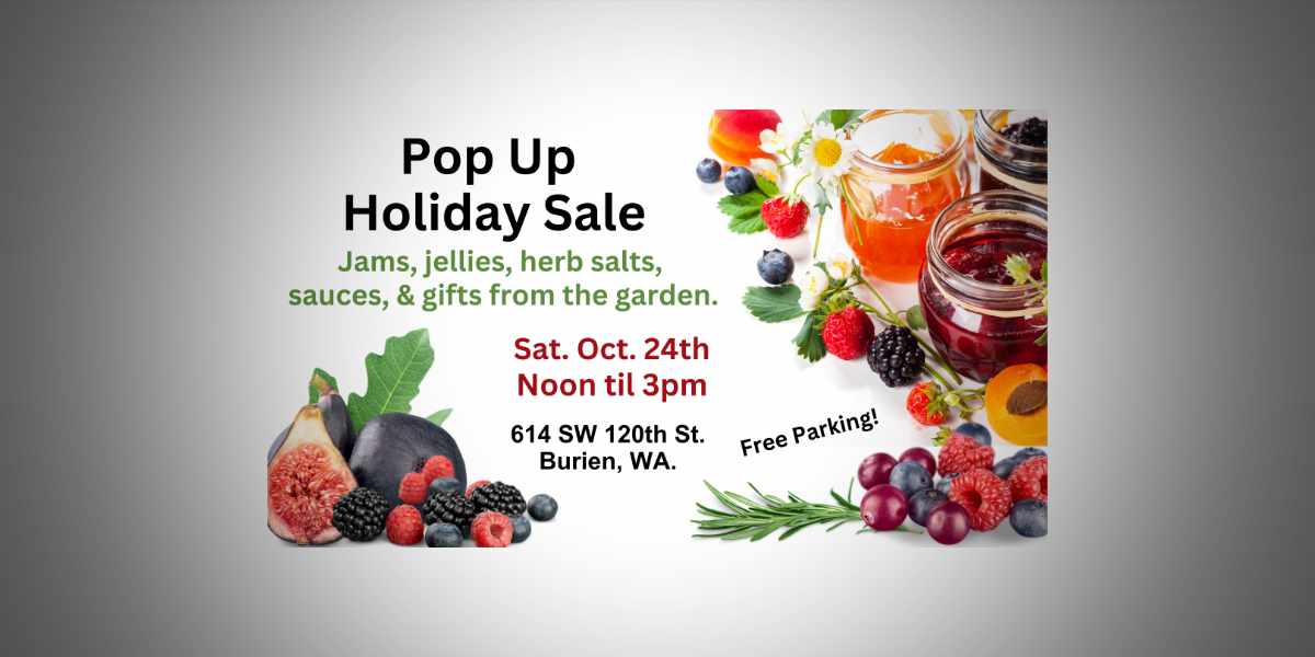 SKM SharkGardenHolidaySale102426