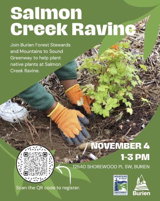 Salmon Creek Ravine (3) 640